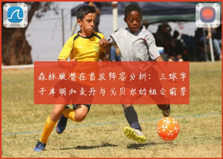 森林狼潜在首发阵容分析：三球华子库明加麦丹与戈贝尔的组合前景如何