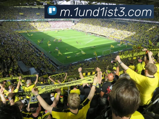 对战数据统计